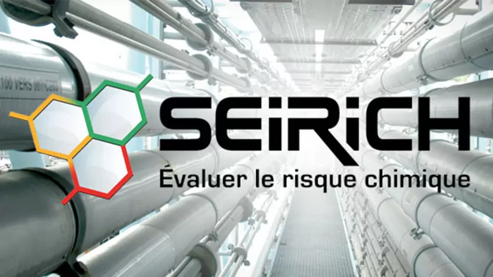 seirich evaluation risque entreprise