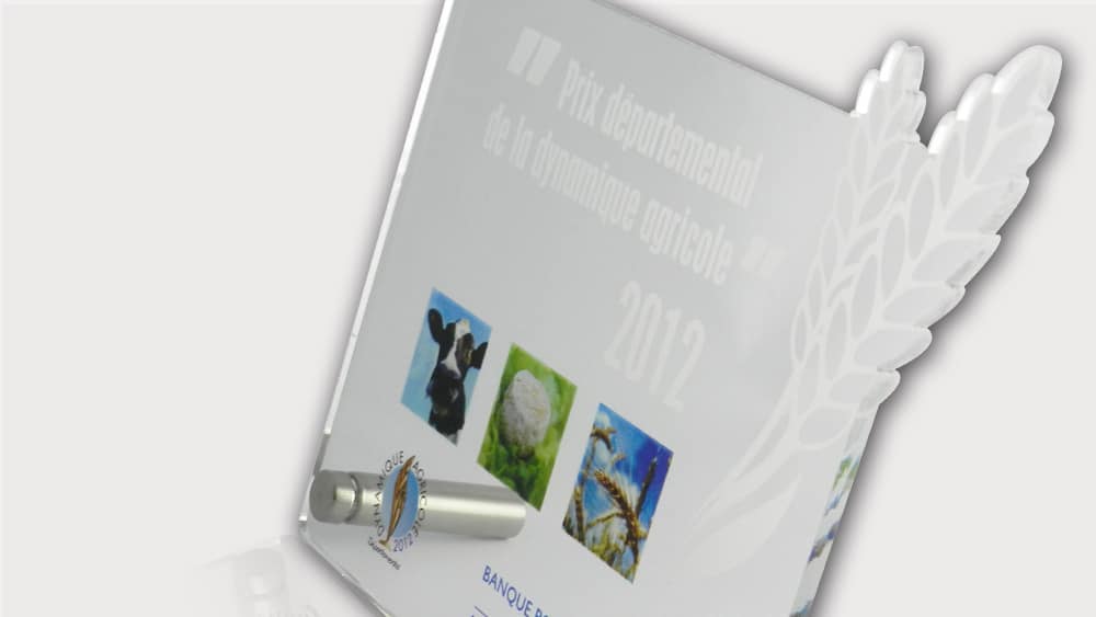 Trophée pour remise de prix fabriqué en PMMA transparent imprimé et gravé