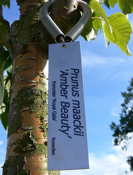 plaque inox pour identification arbre