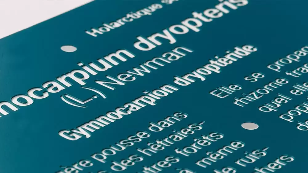 Plaques gravoply d’identification gravées mécaniquement | Marquage Moderne Produit