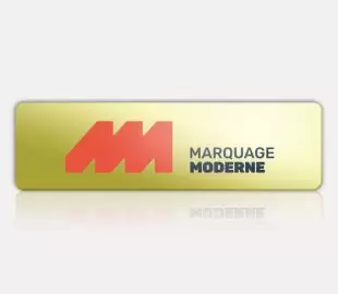 Plaque en laiton doré imprimée numérique avec logo rouge haut de gamme